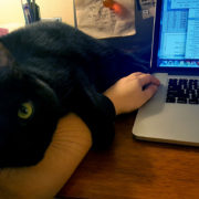 Boogie Helping Write