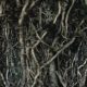 A snarled pile of roots reaching into the dark earth.